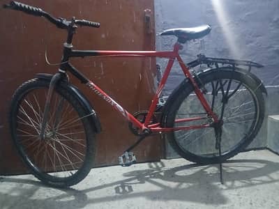 Phoenux Bicycle
