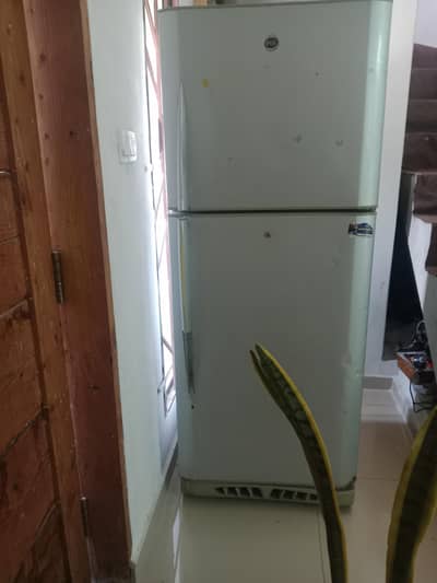 fridge pel