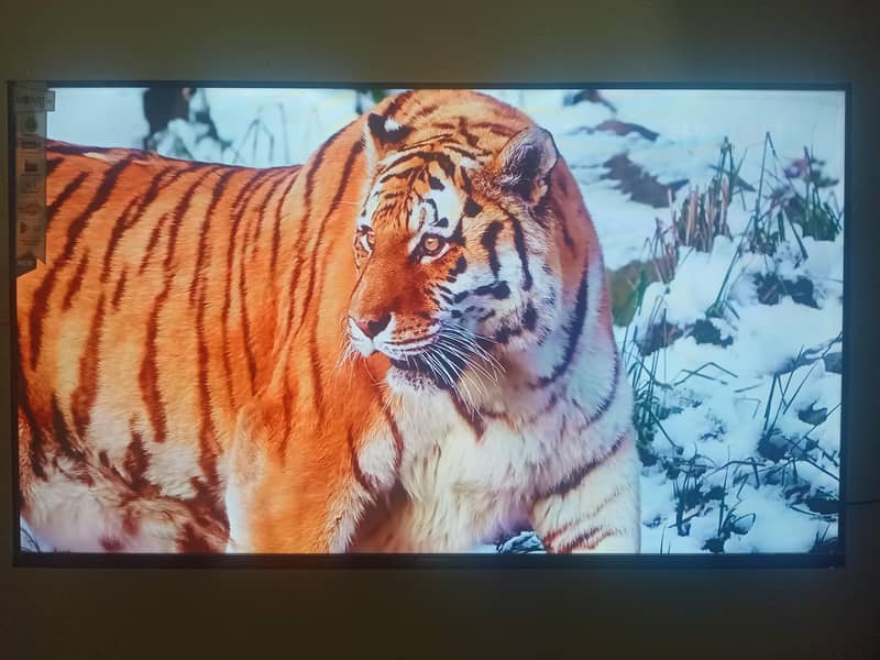 Android tv s1 1