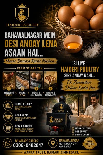 Desi Eggs | Desi Anda | Organic Egg | Farm Fresh Egg