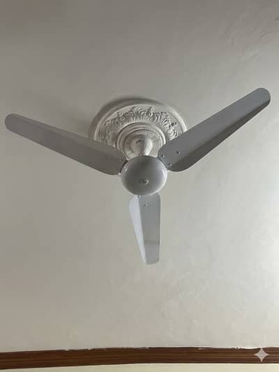 6 SK Ceiling Fans for Sale – Excellent Spotless Condition