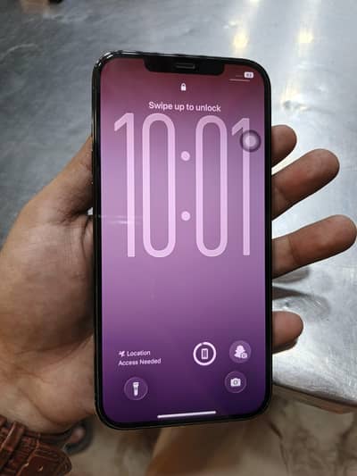 Apple iPhone 12 Pro Max