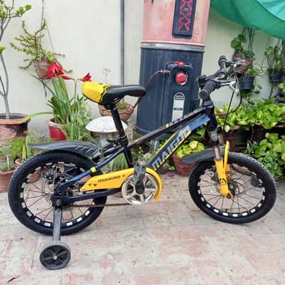 bicycle