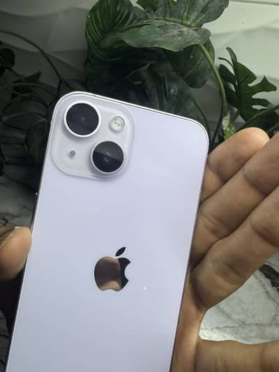 Apple iPhone 14(PURPLE)
