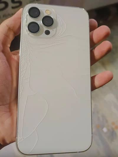 Apple iPhone 12 Pro Max