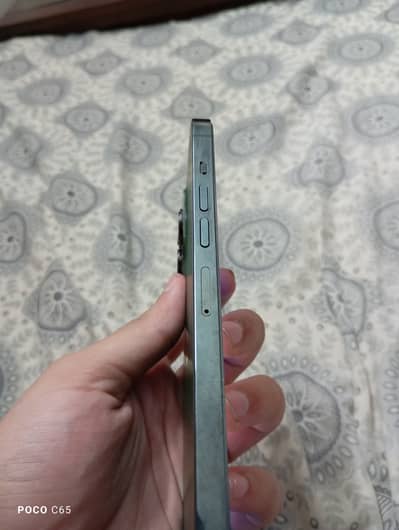 Apple iPhone 13 pro max 10/10 water pack