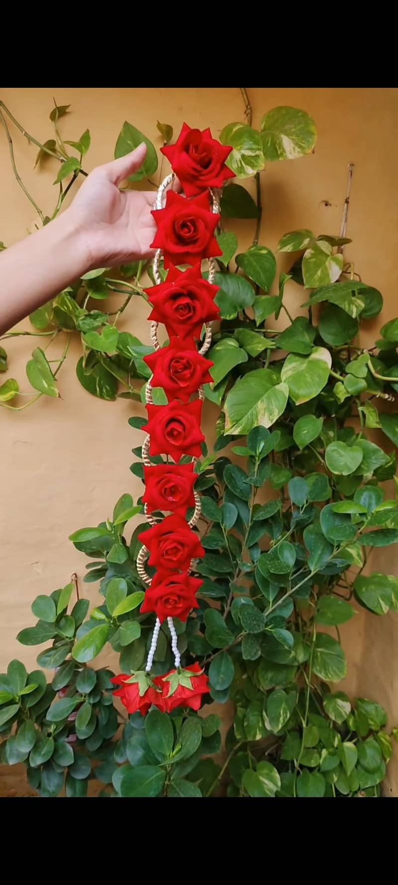 Paranda 2