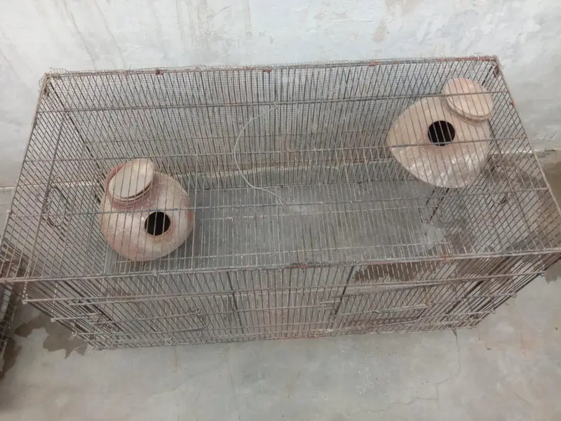 Cage for sell
