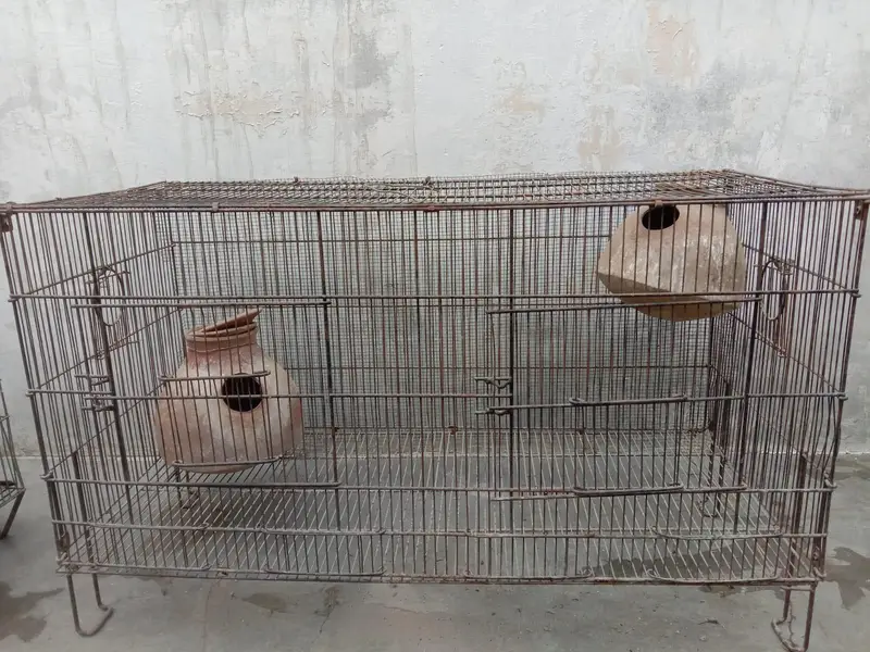 Cage for sell — photo 2