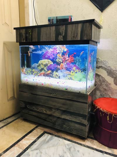 2.5 fit aquarium with fishes complete setup