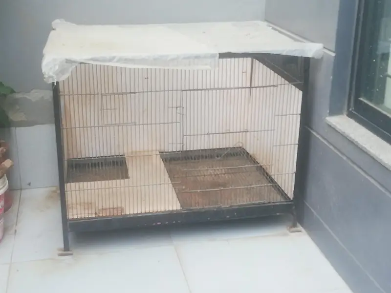 Cage Very Good Condition. Steel Cage with Tray. Black.