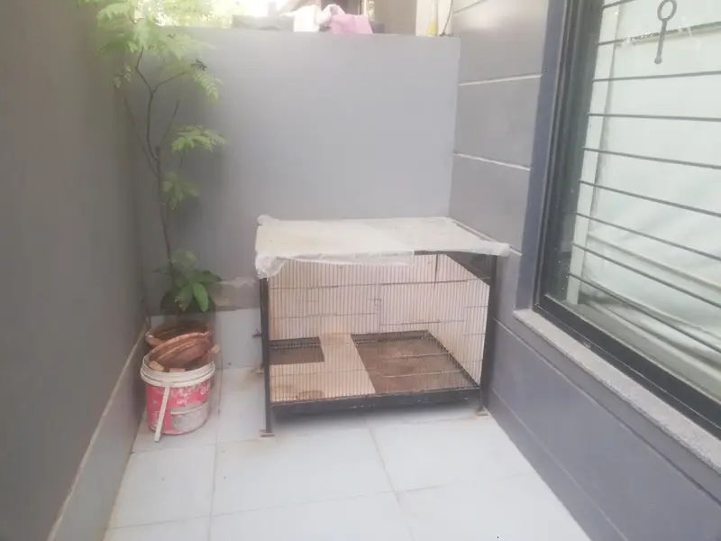 Cage Very Good Condition. Steel Cage with Tray. Black. — photo 3
