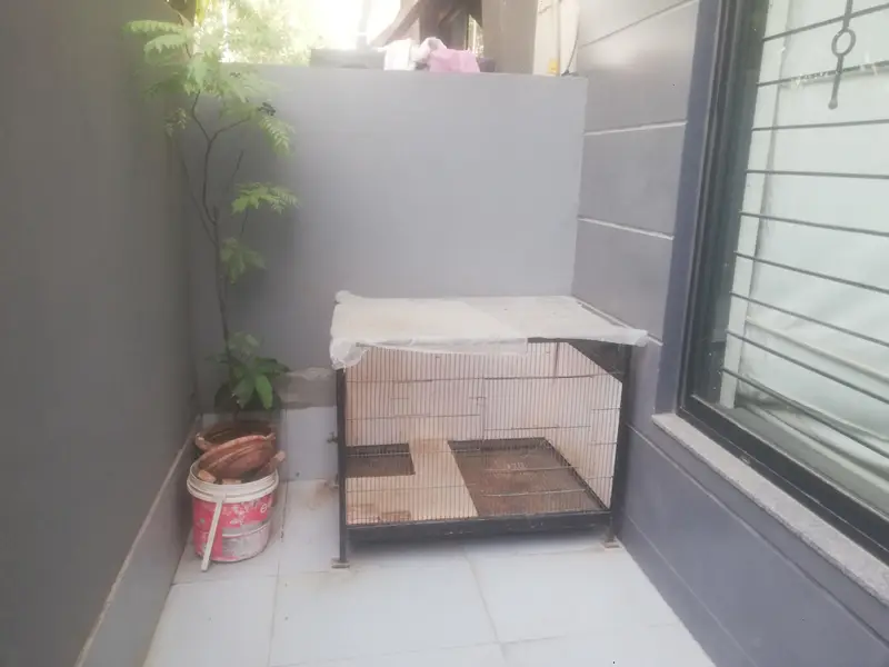 Cage Very Good Condition. Steel Cage with Tray. Black. — photo 4