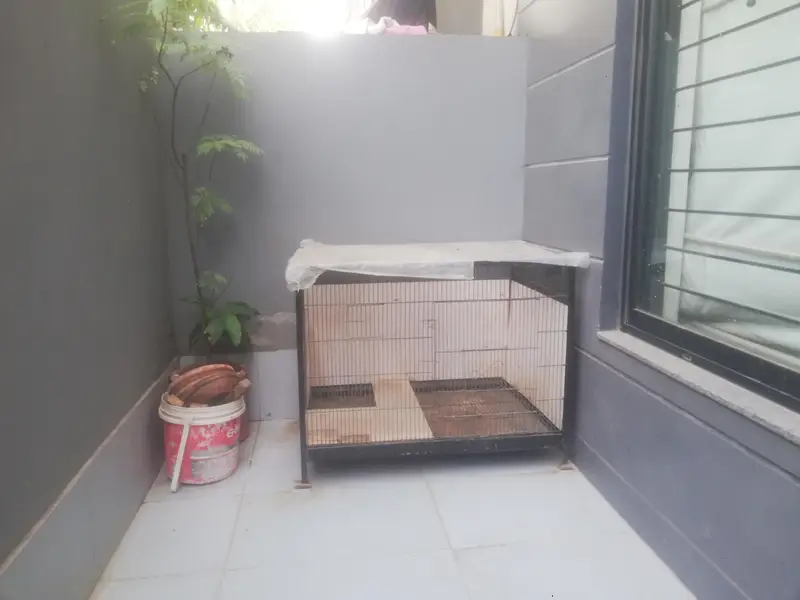 Cage Very Good Condition. Steel Cage with Tray. Black. — photo 5
