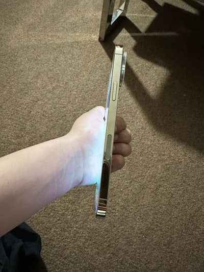 Apple iPhone 12 Pro Max