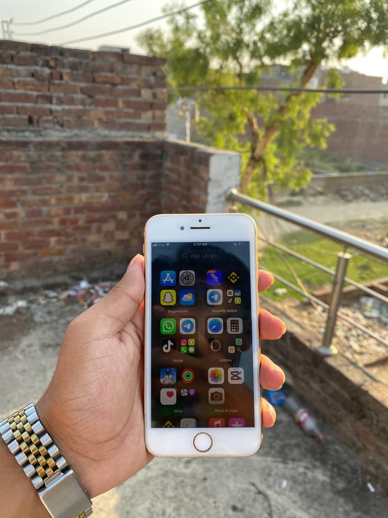 Apple iPhone 8 1