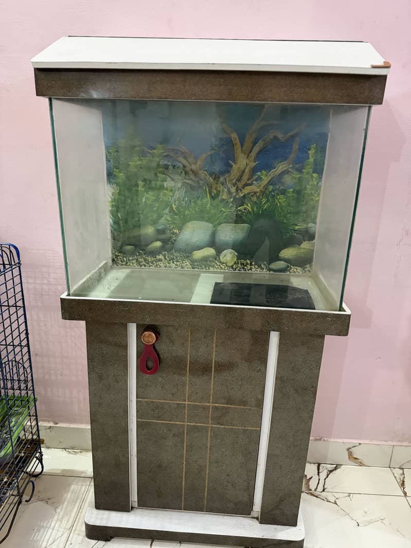 Fish aquarium 0