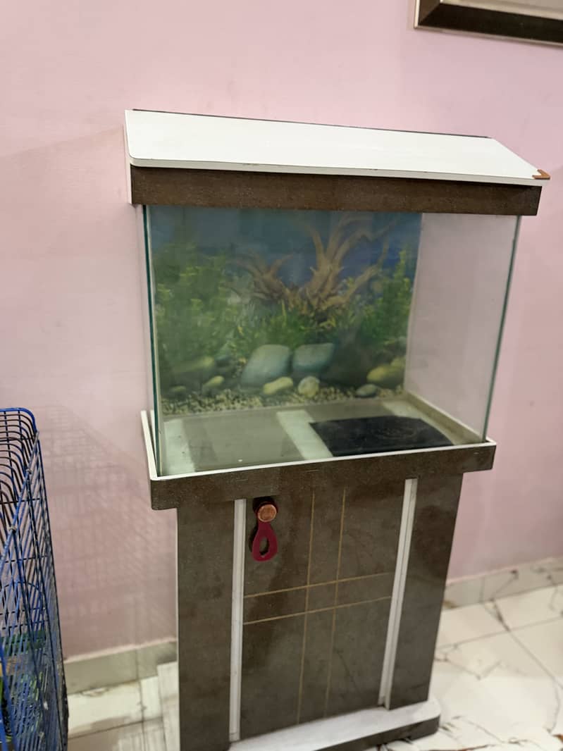 Fish aquarium 1