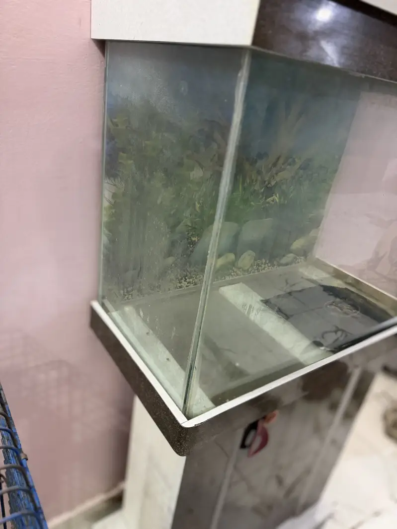 Fish aquarium — photo 3