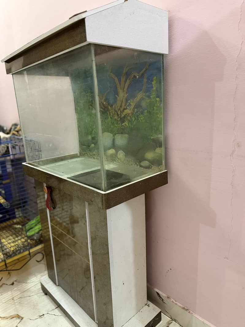 Fish aquarium 3