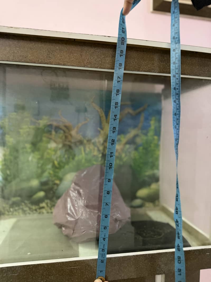 Fish aquarium 4