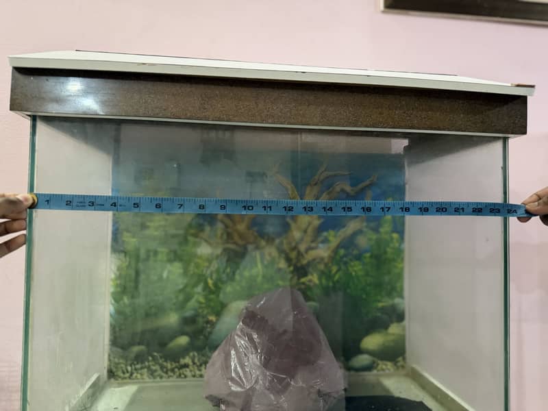 Fish aquarium 5