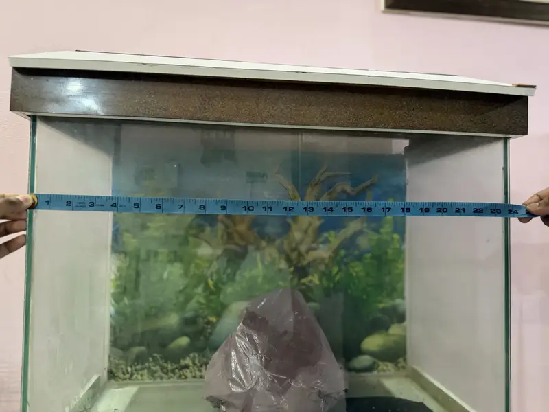 Fish aquarium — photo 6