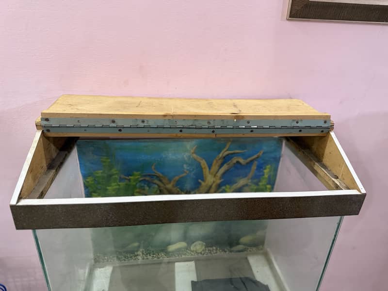 Fish aquarium 6