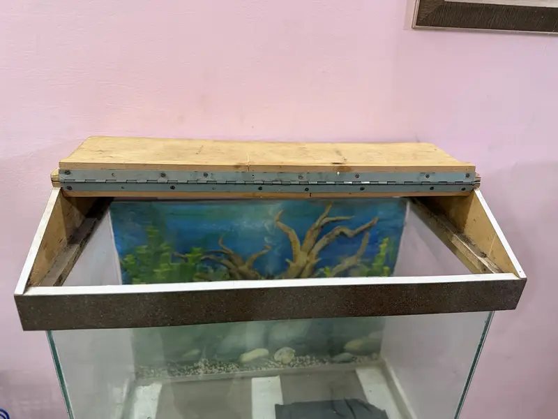 Fish aquarium — photo 7