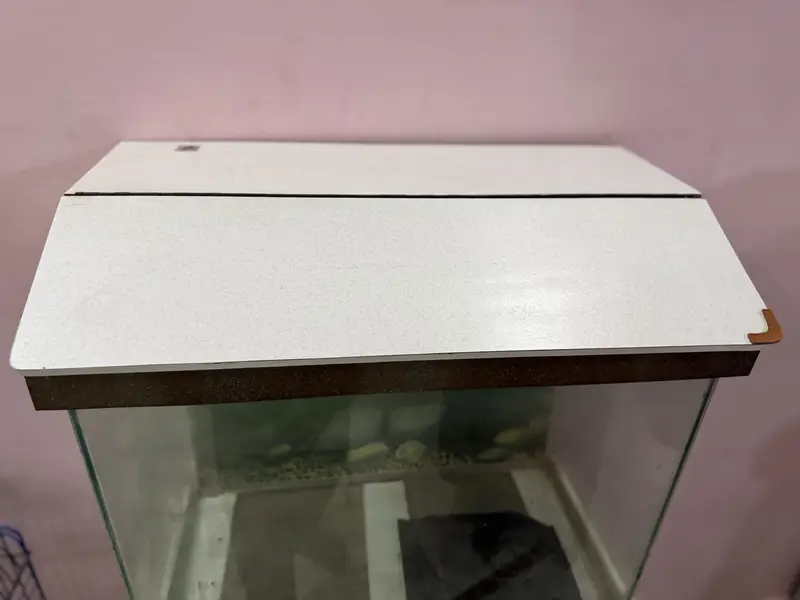 Fish aquarium — photo 8