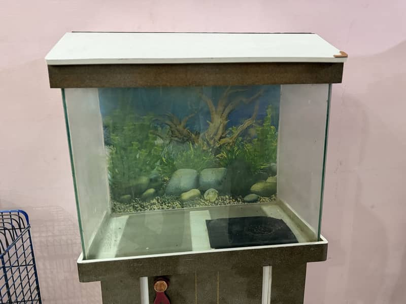 Fish aquarium 8