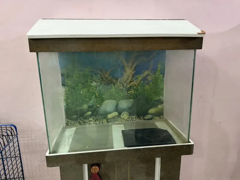 Fish aquarium — photo 9