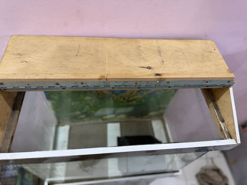 Fish aquarium 9