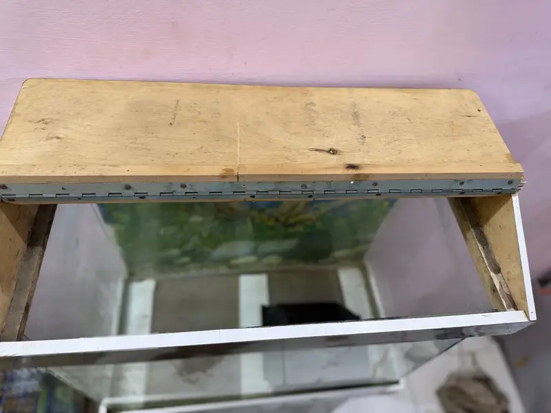 Fish aquarium — photo 10