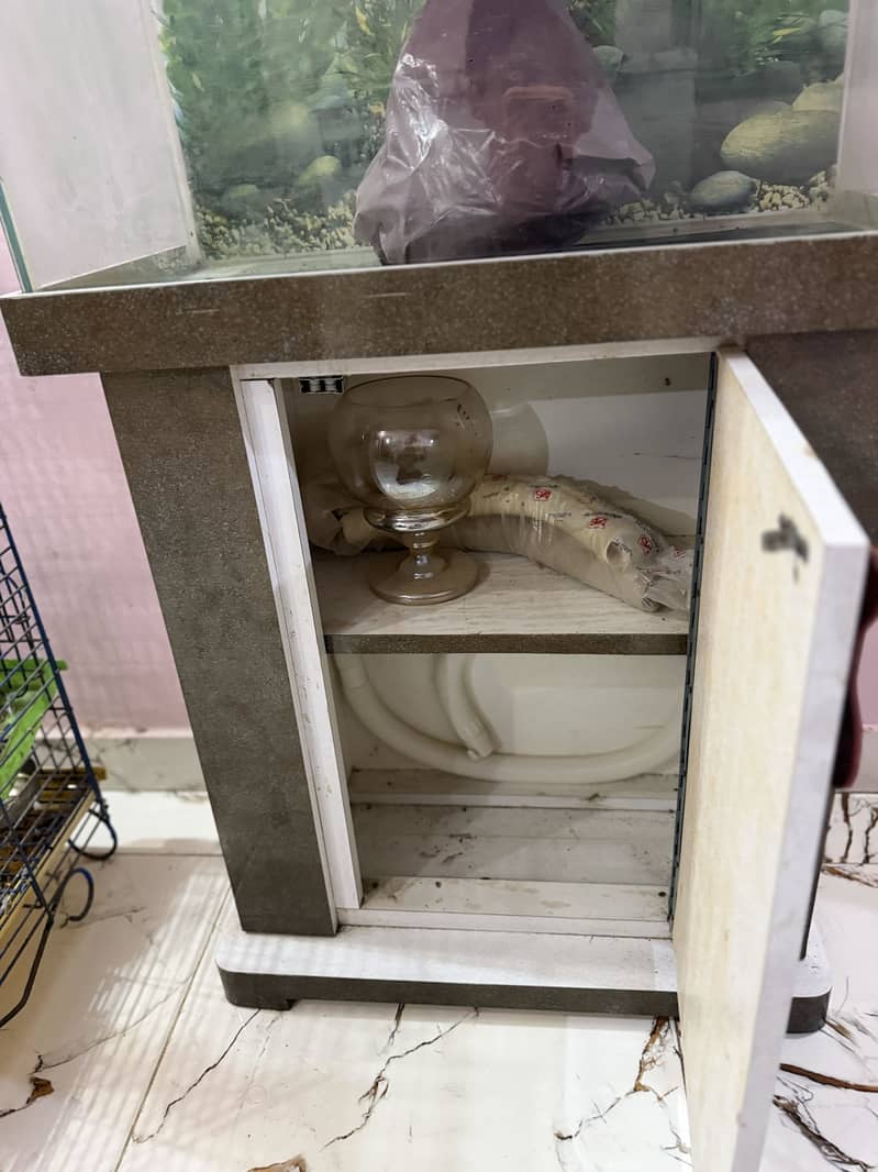 Fish aquarium 10