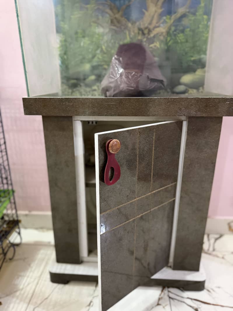Fish aquarium 11