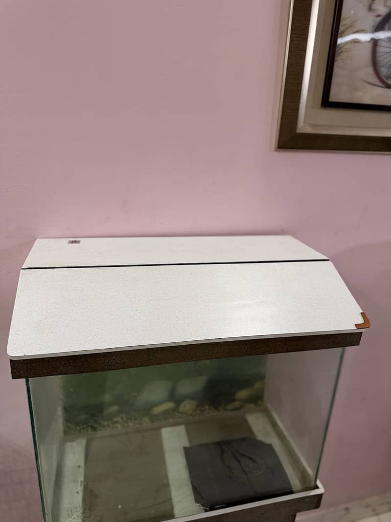 Fish aquarium 12