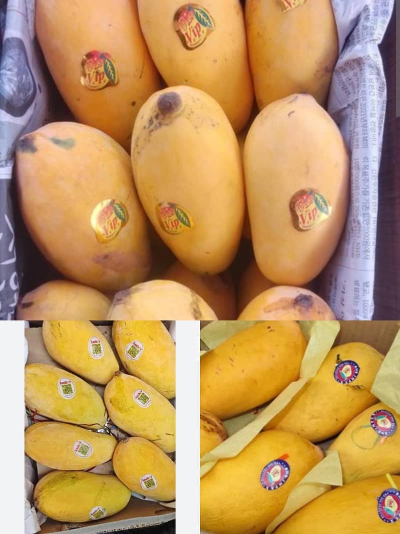 Mango's 2