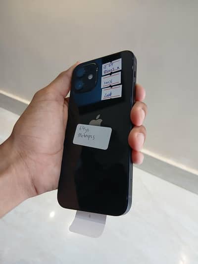 Apple iPhone 12 jv