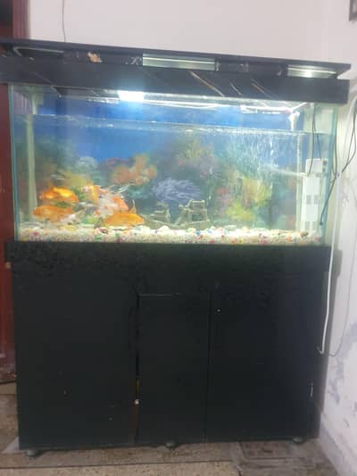 aquarium for sale 2 by 4