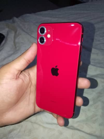 Iphone 11 (Urgent Sale)