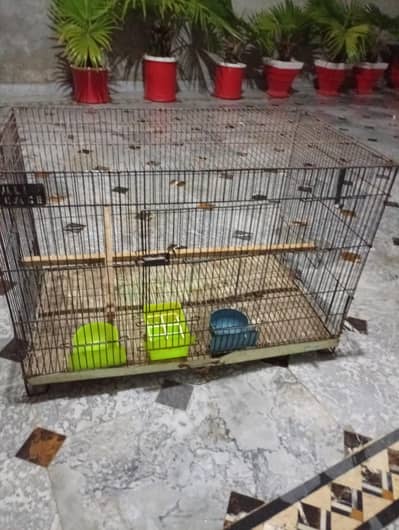 cage for sale
