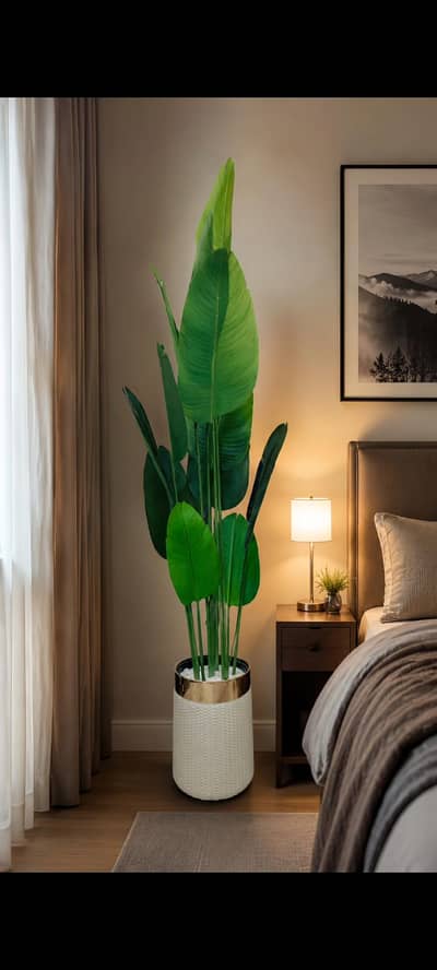 banana plant with pot 18 inch rubber quality