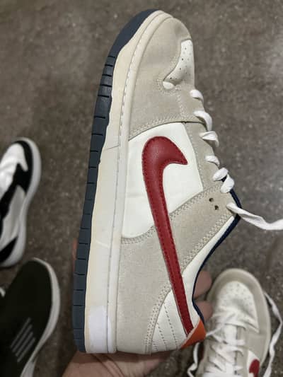 Nike Sb Dunk