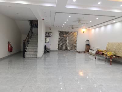 Kanal Beautiful House In Dha Phase 8 Ex Park View