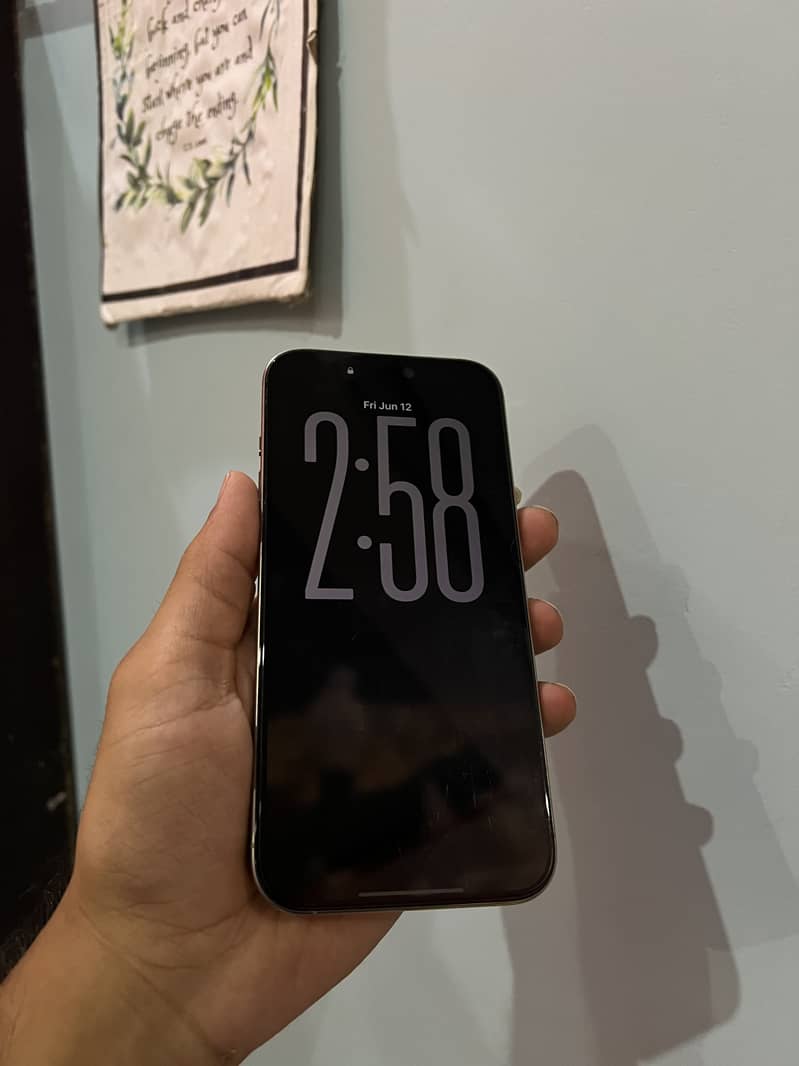 IPHONE 16 PRO MAX 2