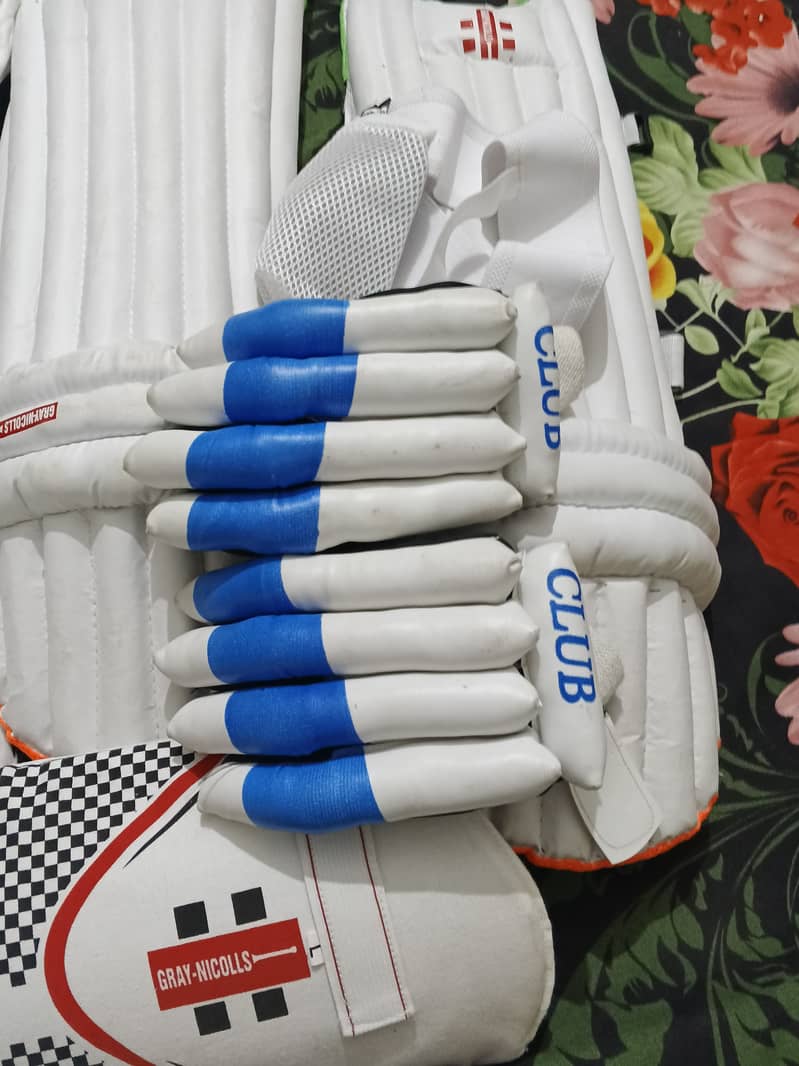 Cricket kit 3