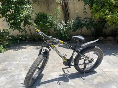 Mountain bike