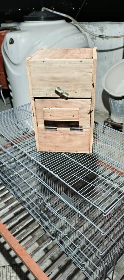 green parrot bread  box