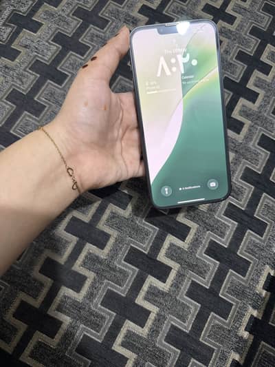 Apple iPhone 13 Pro Max